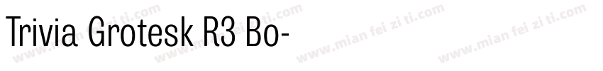 Trivia Grotesk R3 Bo字体转换